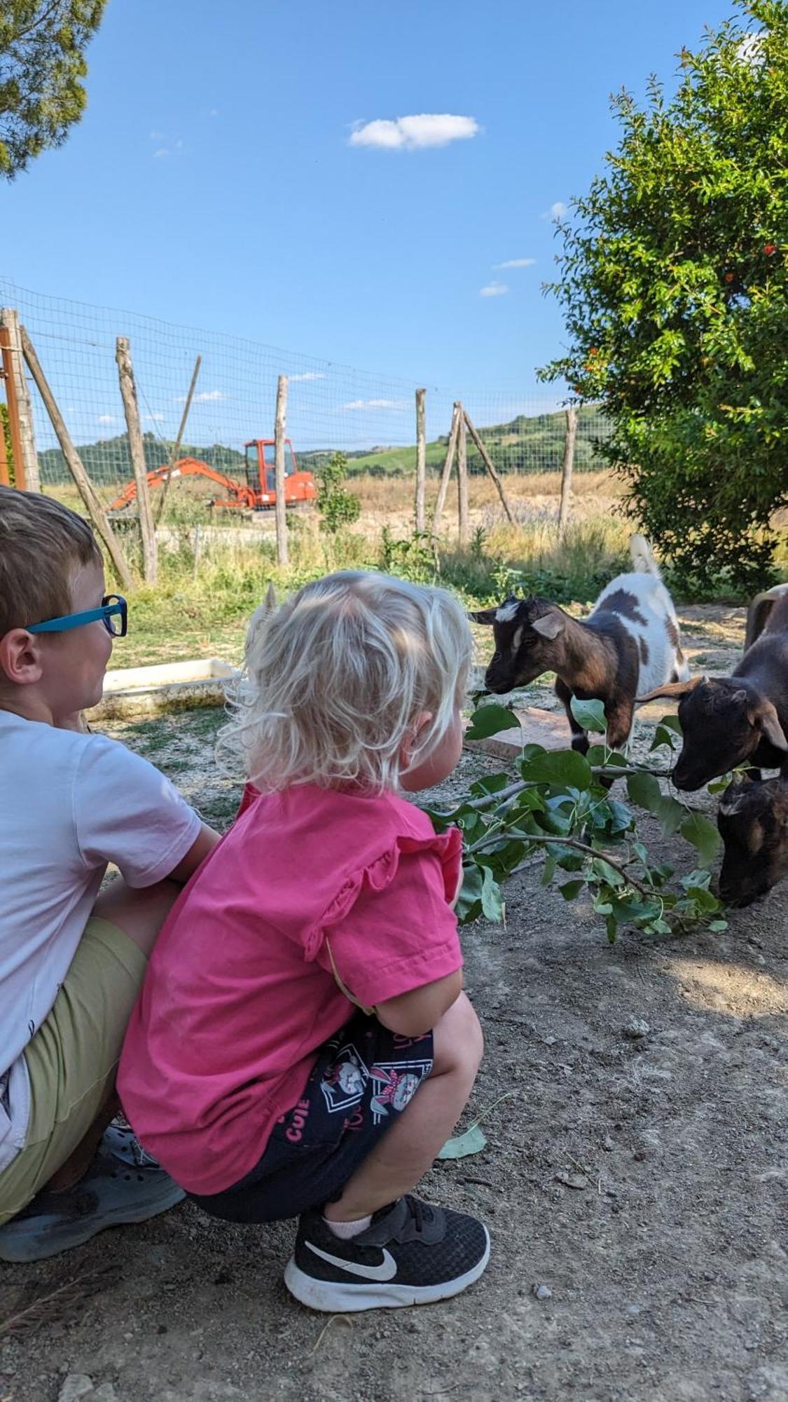 La Quinta Decima Bioagriturismo Fattoria Spedaletto Kültér fotó